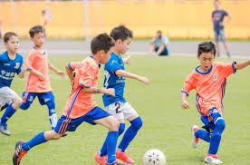 bsports官网 室内二合一乒乓球台